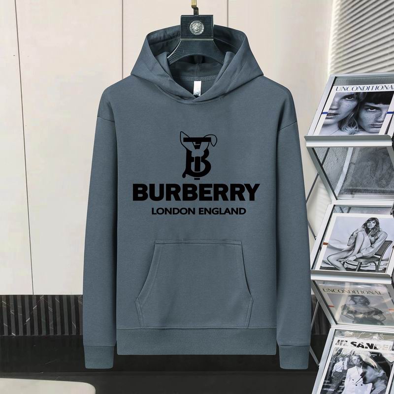 Burberry Hoodie Mens ID:20241022-132